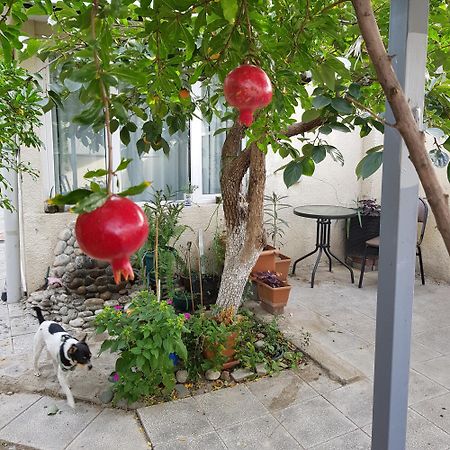 Hotel Домик У Куры Tbilisi Exterior foto